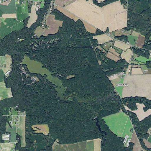 Aerial imagery of Trap Pond State Park, DE