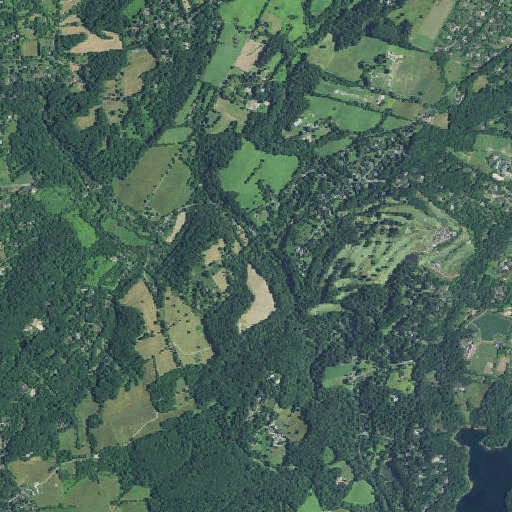 Aerial imagery of Burrows Run, DE