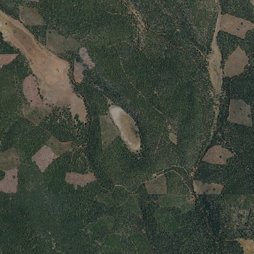 Aerial imagery of Bear Lake, CA