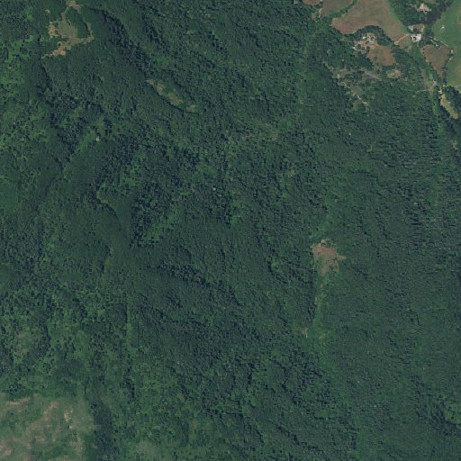 Aerial imagery of Old Pine Trail, CA