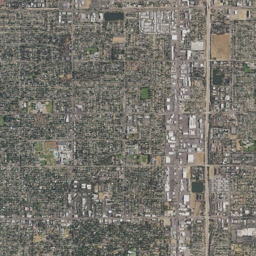 Aerial imagery of Saint Anthony Elementary School, CA