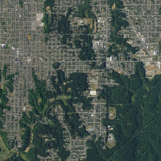 Aerial imagery of Sequoia Park, CA