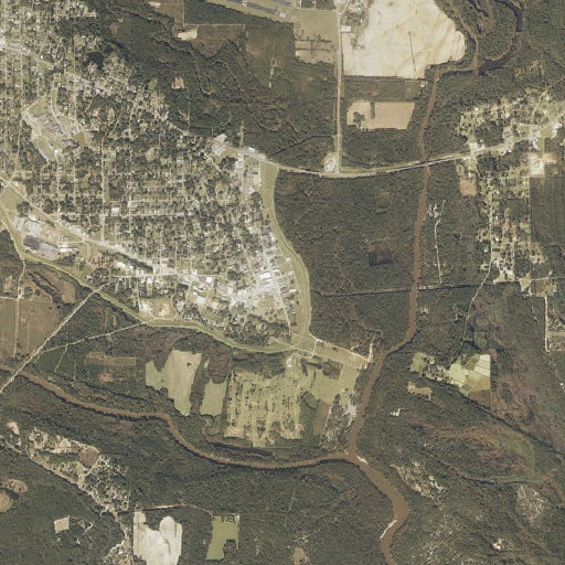 Aerial imagery of Geneva Rescue Squad, AL