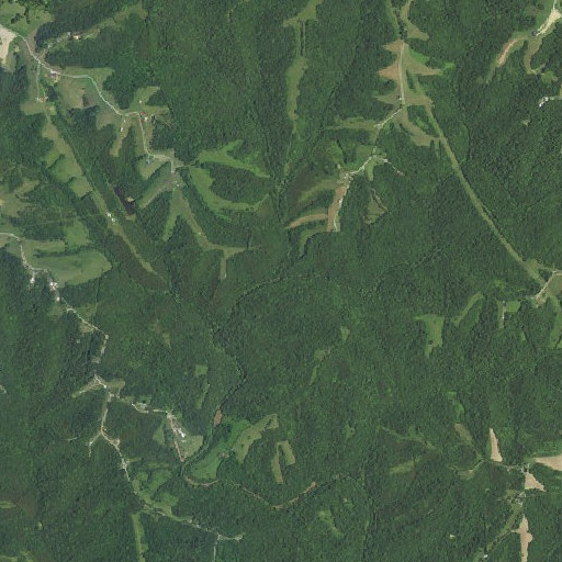 Aerial imagery of Logans Branch, KY