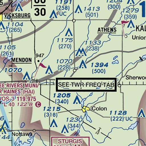 FAA VFR chart of Leonidas Elementary School, MI