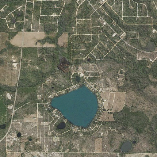 Aerial imagery of Black Pond, FL