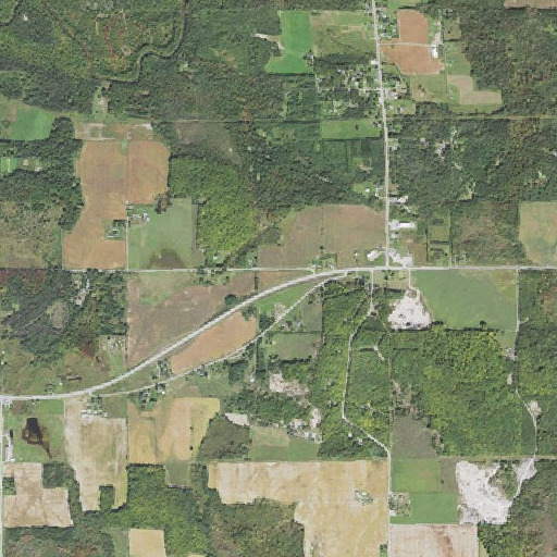 Aerial imagery of Manning Hill Park, MI
