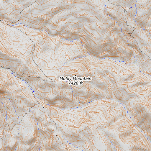 OpenTopoMap map of Muhly Mountain, AZ