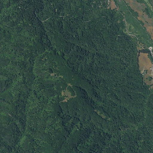 Aerial imagery of Mount Wittenberg, CA