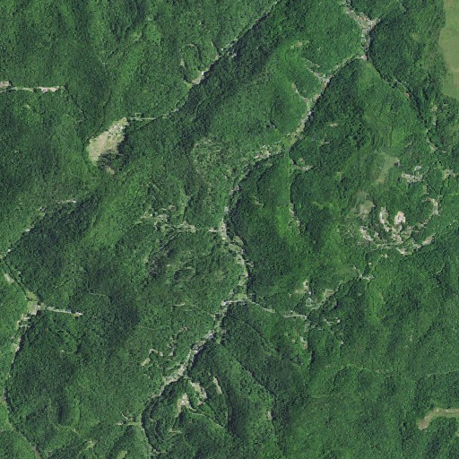 Aerial imagery of Wolf Fork, KY