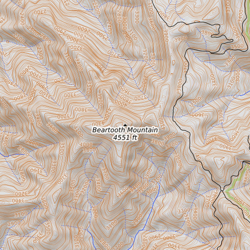 OpenTopoMap map of Beartooth Mountain, CA