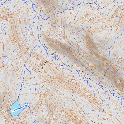 OpenTopoMap map of Big Maxson Meadow, CA