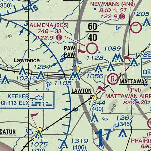 FAA VFR chart of Interchange 60, MI