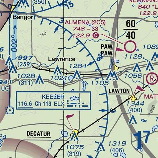 FAA VFR chart of Interchange 56, MI