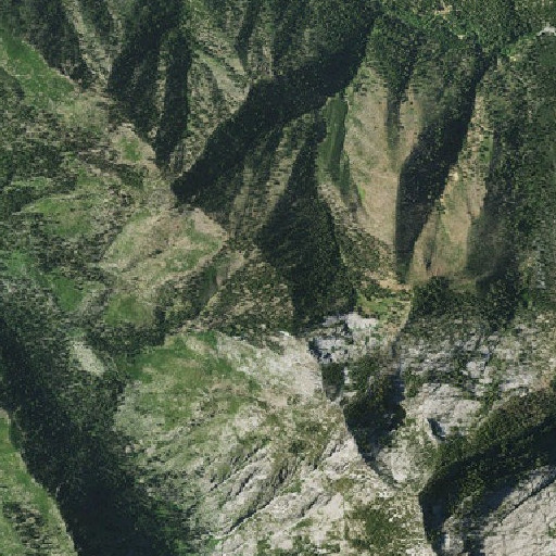 Aerial imagery of Browns Meadow, CA