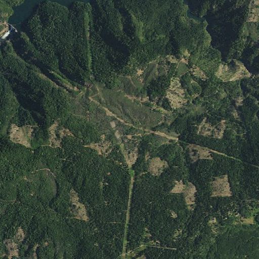 Aerial imagery of Brush Patch, CA