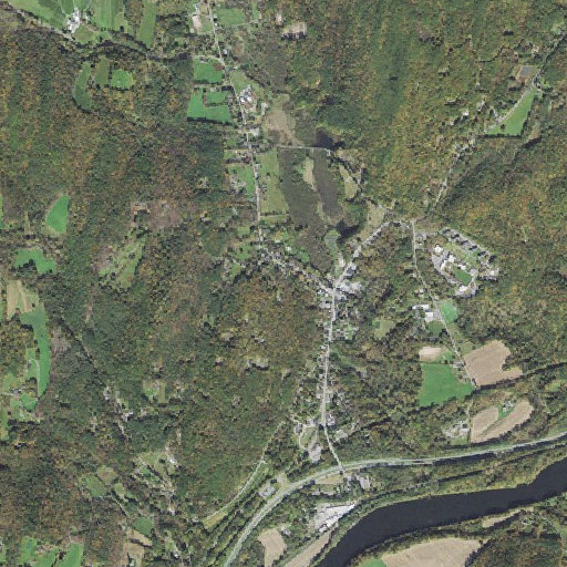 Aerial imagery of Putney Census Designated Place, VT