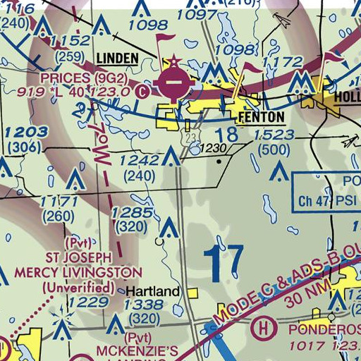 FAA VFR chart of Interchange 75, MI