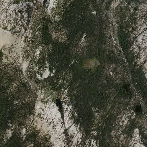 Aerial imagery of Manse Meadow, CA