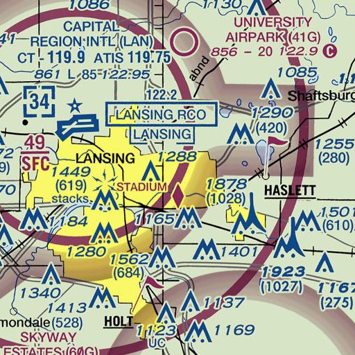 FAA VFR chart of Forest Park, MI