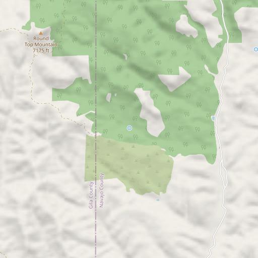 OpenStreetMap map of Cedar Spring, AZ