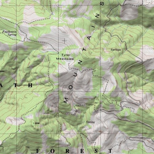 USGS 24K topo map of Tyler Meadows, CA