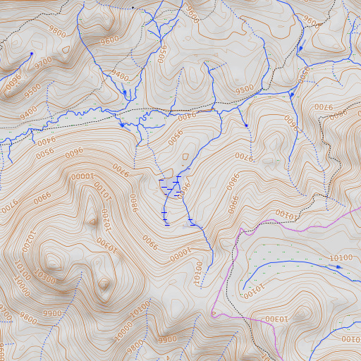 OpenTopoMap map of Bear Meadow, CA