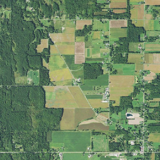 Aerial imagery of Shady Maple Farm, OH