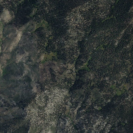 Aerial imagery of Bog Hole Meadow, CA