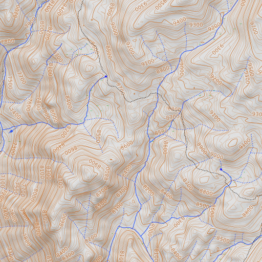 OpenTopoMap map of Bog Hole Meadow, CA