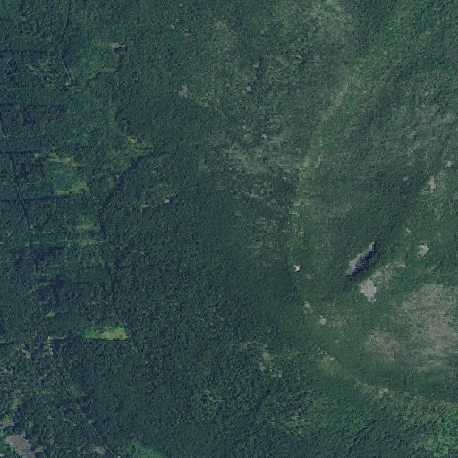 Aerial imagery of Clackamas Wilderness, OR