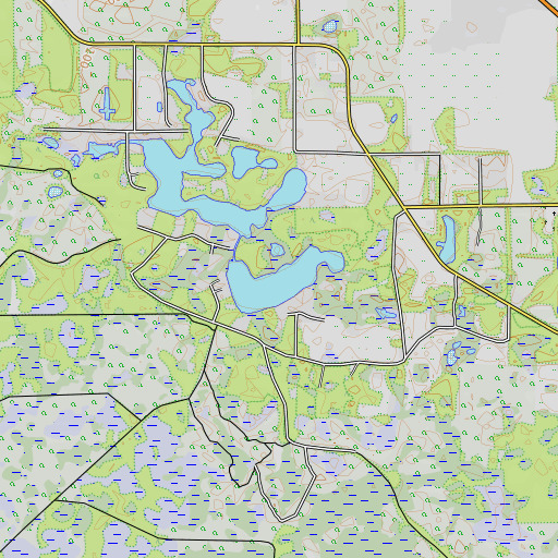 OpenTopoMap map of Adams Lake, FL