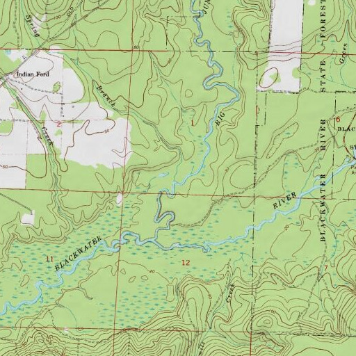 USGS 24K topo map of Adams Spring Branch, FL