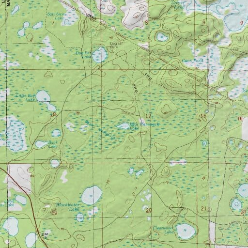 USGS 24K topo map of Bear Hammock Lake, FL