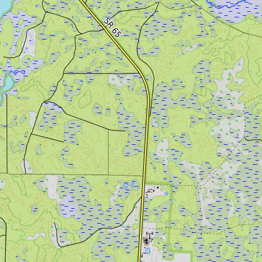 OpenTopoMap map of Bird Swamp, FL
