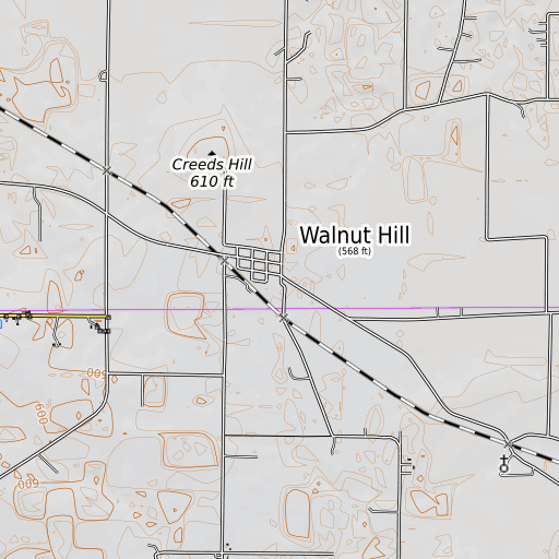 OpenTopoMap map of Walnut Hill Post Office, IL