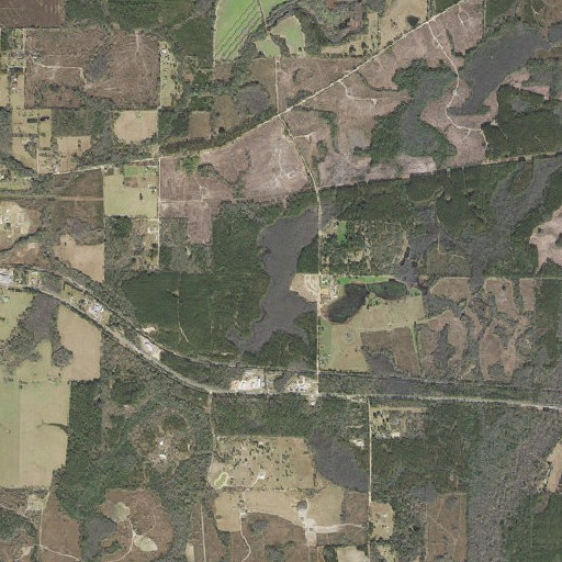 Aerial imagery of Black Lake, FL