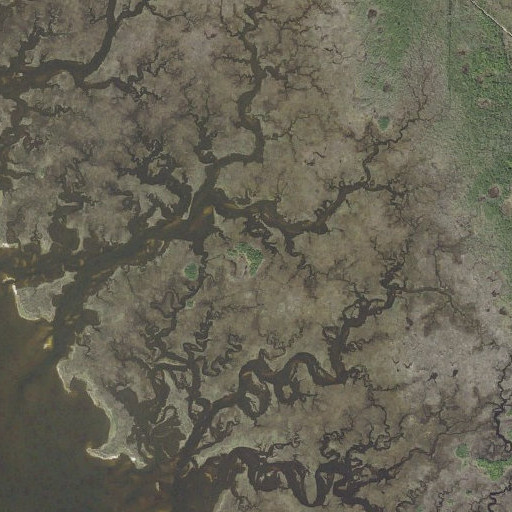 Aerial imagery of Bumblebee Island, FL