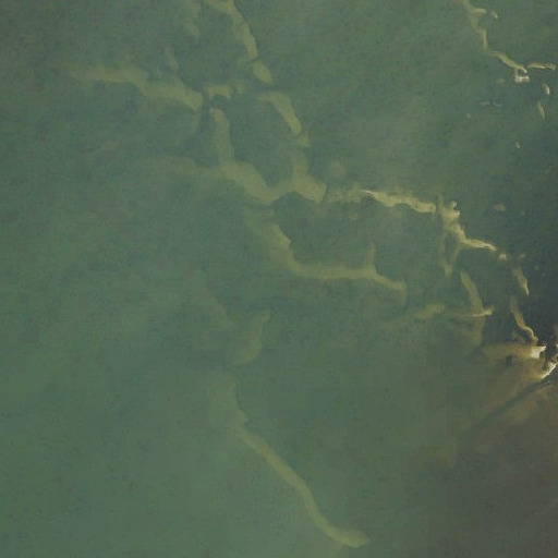 Aerial imagery of Bushstake Gap, FL