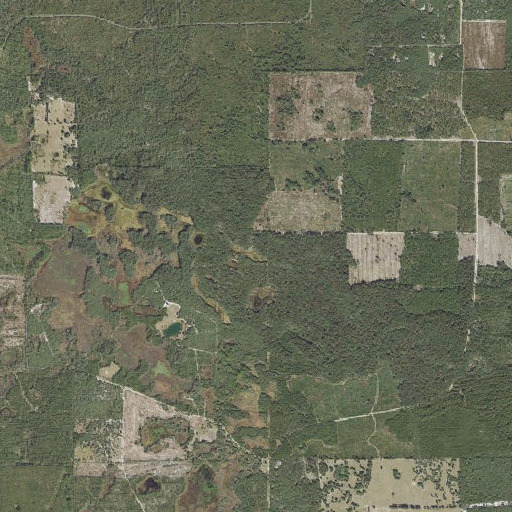 Aerial imagery of Camp Pond, FL