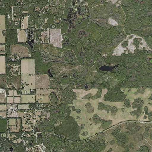 Aerial imagery of Cannon Pond, FL