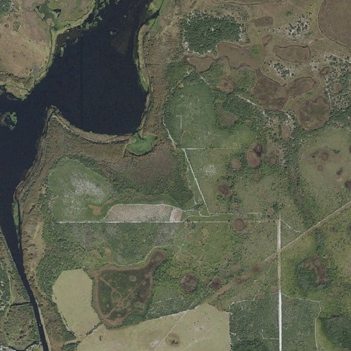 Aerial imagery of Cobb Marsh, FL