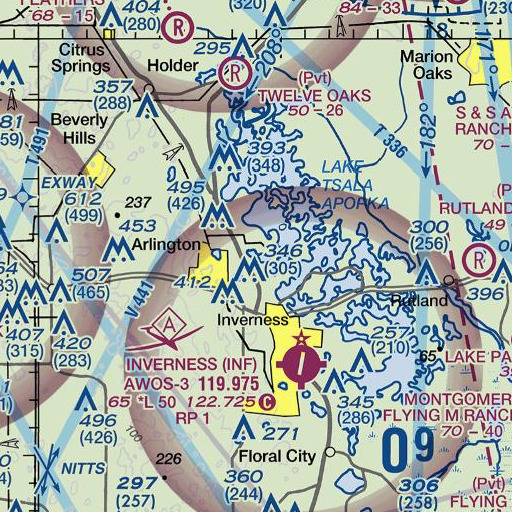 FAA VFR chart of Connell Lake, FL