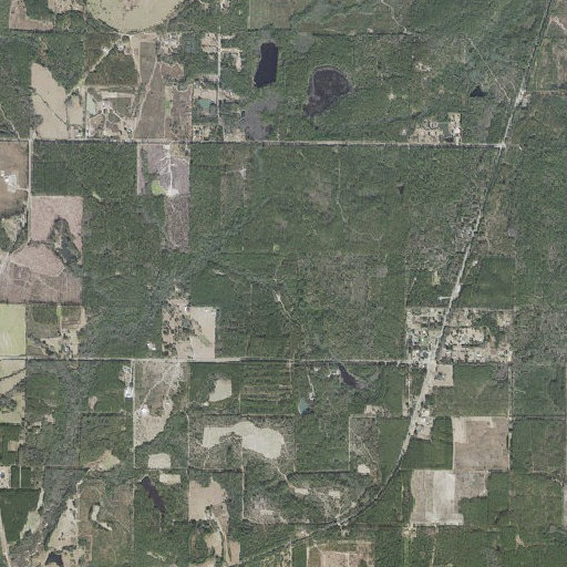 Aerial imagery of Coon Head, FL
