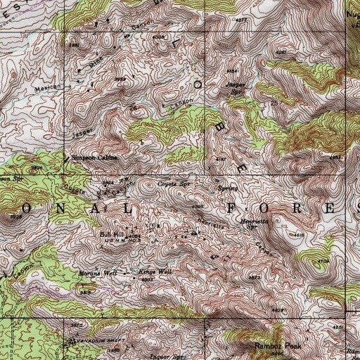 USGS 24K topo map of Coyote Spring, AZ