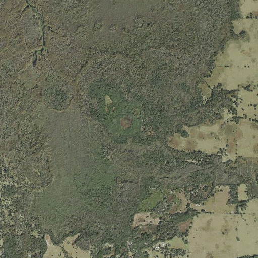 Aerial imagery of DeWitt Scrub, FL