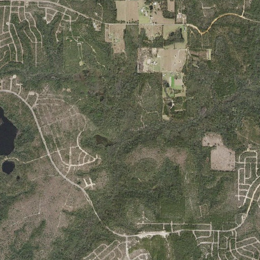 Aerial imagery of Double Pond Branch, FL