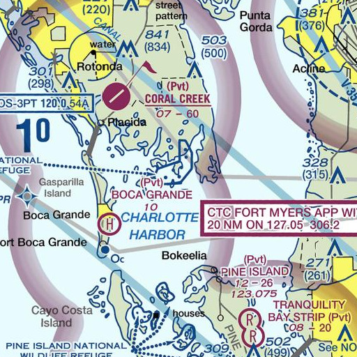 FAA VFR chart of Eagle Nest, FL