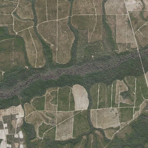 Aerial imagery of East Minnow Branch, FL