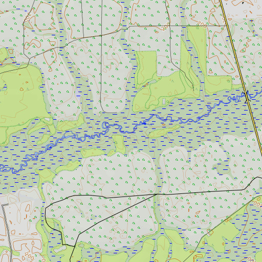 OpenTopoMap map of East Minnow Branch, FL